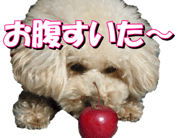 doggiesfan3 sticker #14430240