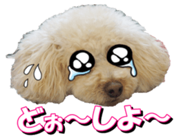 doggiesfan3 sticker #14430245