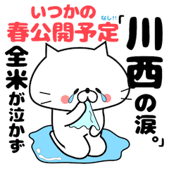 Cute Face Cat Kawanishi Kasai