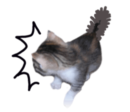 Mimi of real cat sticker #14430692