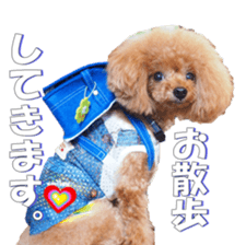 fanchocorin2 sticker #14432494