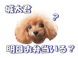 fanchocorin2 sticker #14432498