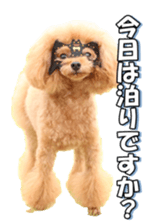 fanchocorin2 sticker #14432508