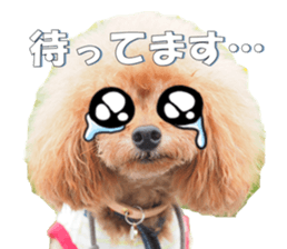 fanchocorin2 sticker #14432513