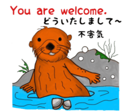 Cute and funny sea otters sticker #14433079