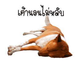 Nam tarn The Dog sticker #14433896