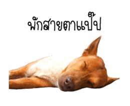 Nam tarn The Dog sticker #14433900