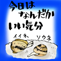 Seafoods that like small talk