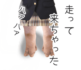 A pig of hers 2 sticker #14438440