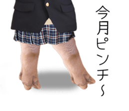 A pig of hers 2 sticker #14438448