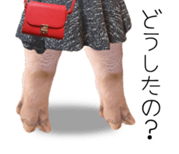 A pig of hers 2 sticker #14438450