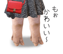 A pig of hers 2 sticker #14438452