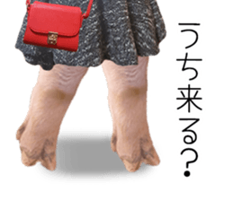 A pig of hers 2 sticker #14438453