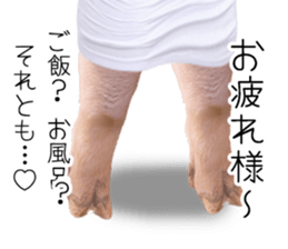 A pig of hers 2 sticker #14438467