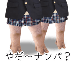 A pig of hers 2 sticker #14438471