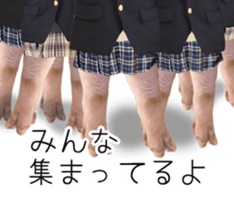 A pig of hers 2 sticker #14438473