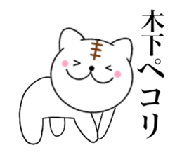Names cat kinoshita sticker #14439136