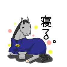 NO HORSE,NO LIFE sticker #14439286