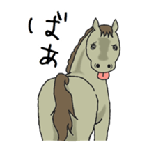 NO HORSE,NO LIFE sticker #14439288