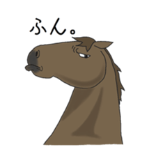 NO HORSE,NO LIFE sticker #14439314