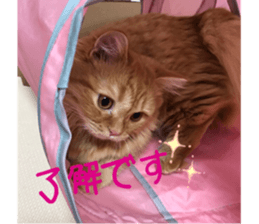 uta sticker #14441086