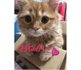 uta sticker #14441088