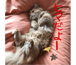 uta sticker #14441089