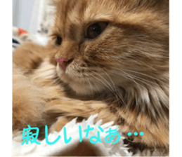 uta sticker #14441090