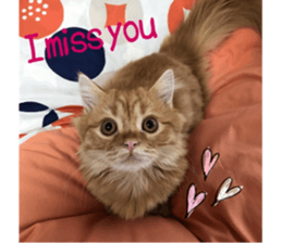 uta sticker #14441091