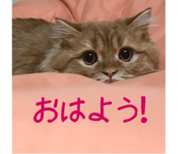 uta sticker #14441093