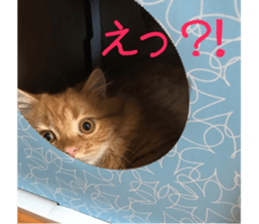 uta sticker #14441094