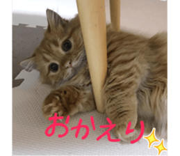 uta sticker #14441095