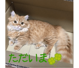 uta sticker #14441096