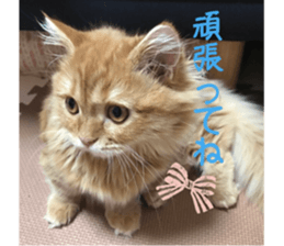 uta sticker #14441097