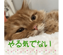 uta sticker #14441099