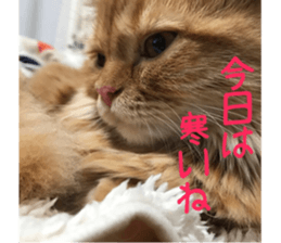 uta sticker #14441101