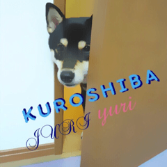 KUROSHIBA JIYURI photo