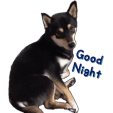 KUROSHIBA JIYURI photo sticker #14441671