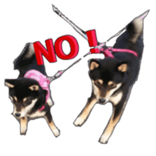 KUROSHIBA JIYURI photo sticker #14441673