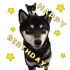 KUROSHIBA JIYURI photo sticker #14441675