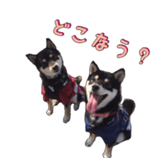 KUROSHIBA JIYURI photo sticker #14441681