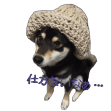 KUROSHIBA JIYURI photo sticker #14441689