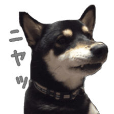 KUROSHIBA JIYURI photo sticker #14441693