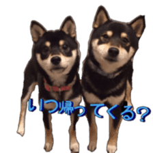 KUROSHIBA JIYURI photo sticker #14441694