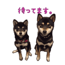 KUROSHIBA JIYURI photo sticker #14441697