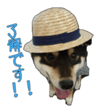 KUROSHIBA JIYURI photo sticker #14441698