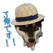 KUROSHIBA JIYURI photo sticker #14441698