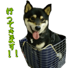 KUROSHIBA JIYURI photo sticker #14441699