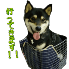 KUROSHIBA JIYURI photo sticker #14441699