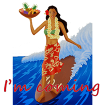 Hula Life sticker #14441957